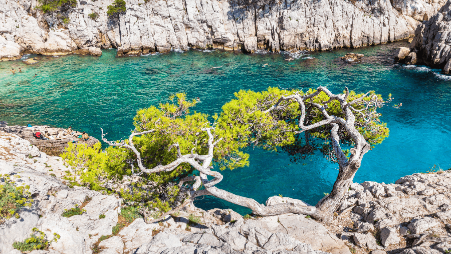 Top 5 des plages autorisées aux chiens dans les Bouches-du-Rhône