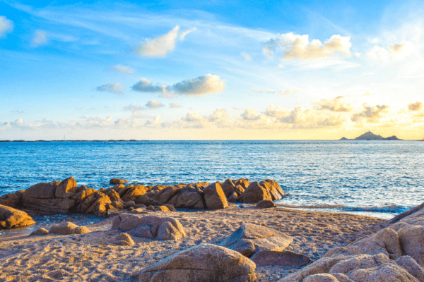 Top 5 des plages autorisées aux chiens en Corse du Sud