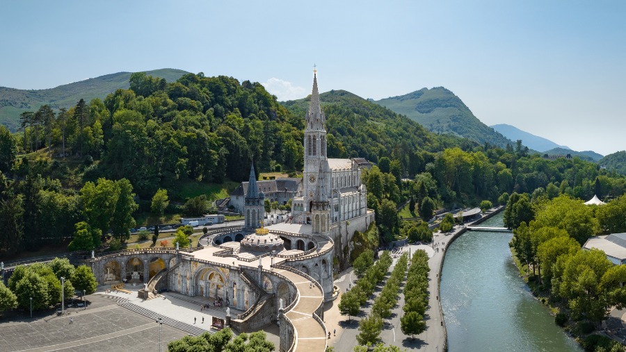 Aller à Lourdes avec son chien