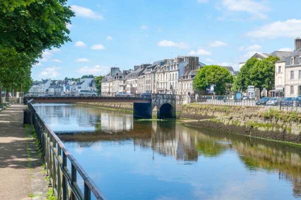 Rennes : tout savoir pour un séjour dog-friendly