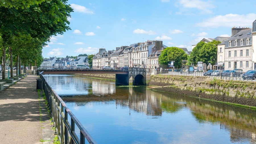 Rennes : tout savoir pour un séjour dog-friendly