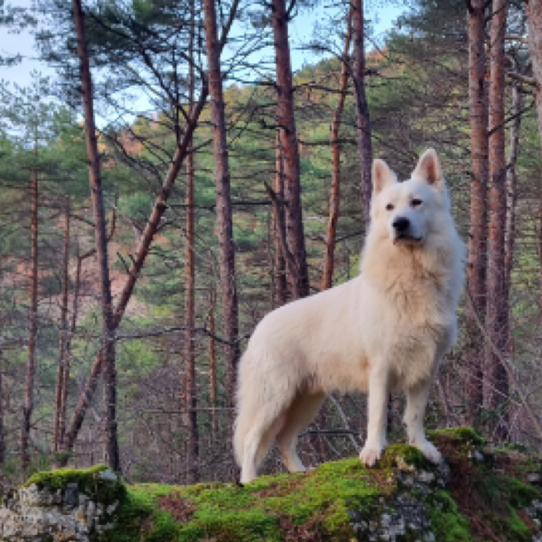 La Cachette : locations nature