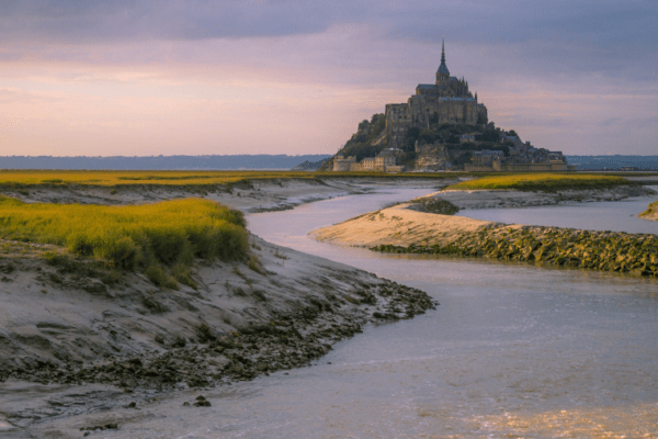 Les secrets de la Manche  avec un chien