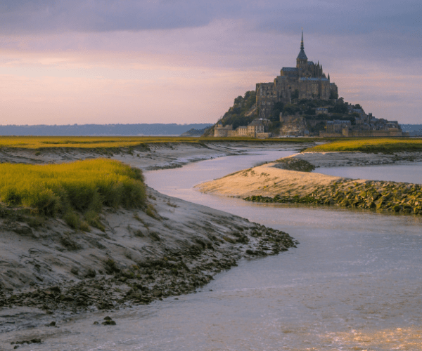 Les secrets de la Manche  avec un chien