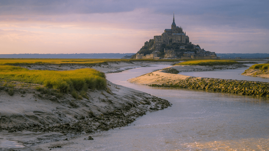 Les secrets de la Manche  avec un chien