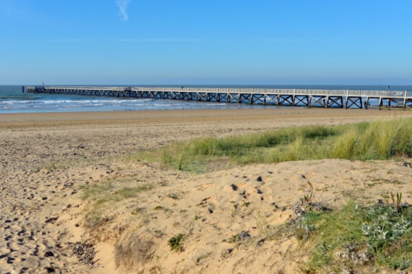 Aller à Saint Jean de Monts avec un chien, quoi faire à Saint Jean de Monts avec un chien, plages autorisées aux chiens à Saint Jean de Monts, hébergements dog friendly à Saint Jean de Monts