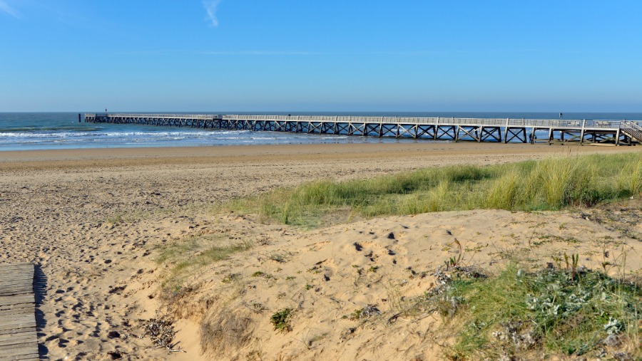 Guide de vacances : Saint-Jean-de-Monts avec son chien