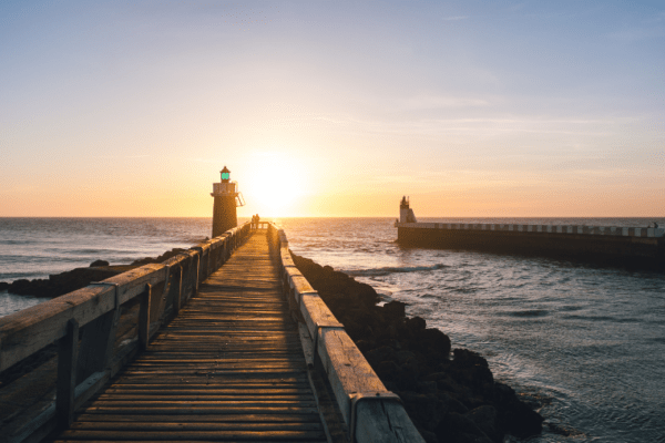 Top 5 des plages autorisées aux chiens dans les Landes