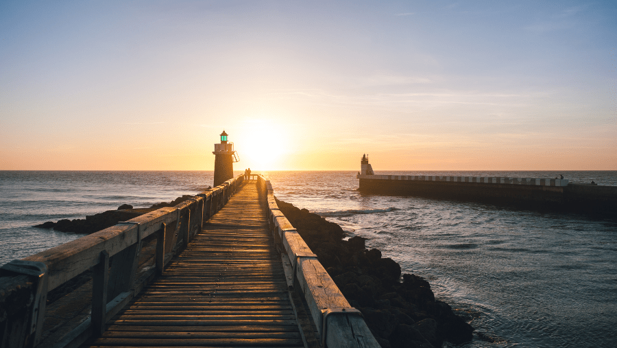 Top 5 des plages autorisées aux chiens dans les Landes