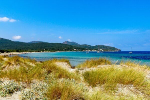Plage de Barcaggio