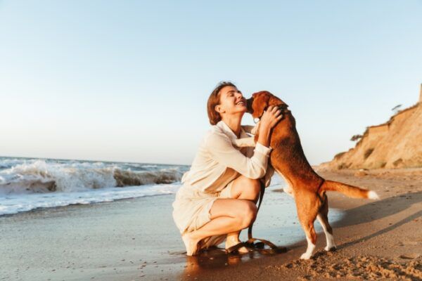 plage autorisée aux chiens, tous les gabarits, chiens catégorisés, Plage Centrale, Notre-Dame-de-Monts, Vendée, Pays de la Loire