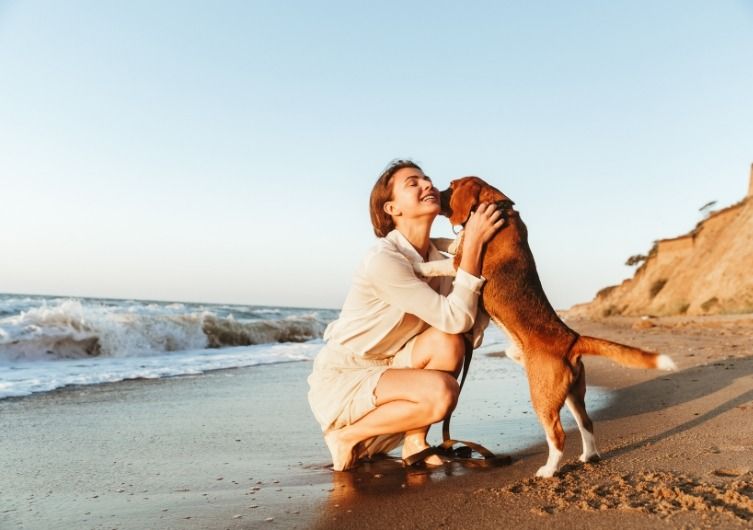 Le top 10 des plages françaises à tester avec son chien