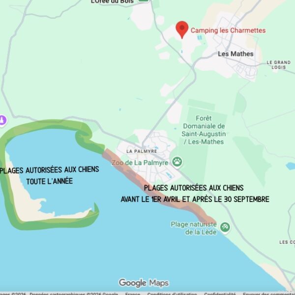 Limite de la plage autorisée aux chiens en été à Les Mathes la Palmyre