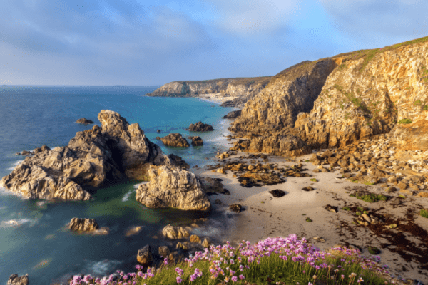 Top 5 des plages autorisées aux chiens dans le Morbihan