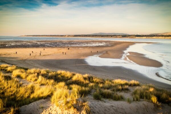 Top 5 des plages autorisées aux chiens dans le Pas-de-Calais