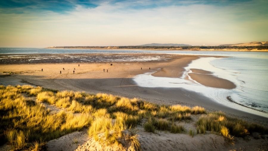 Las 5 mejores playas para perros en Paso de Calais