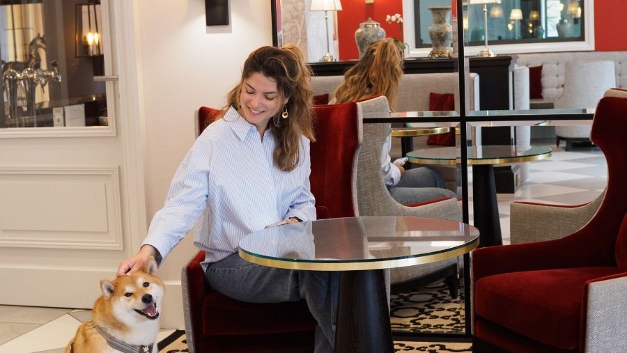 Best Western® Hotels & Resorts : pour un séjour avec votre chien ou votre chat !