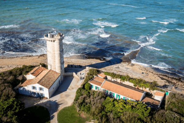 Top 5 des plages autorisées aux chiens en Charente-Maritime