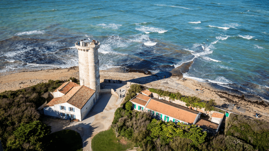 Top 5 des plages autorisées aux chiens en Charente-Maritime