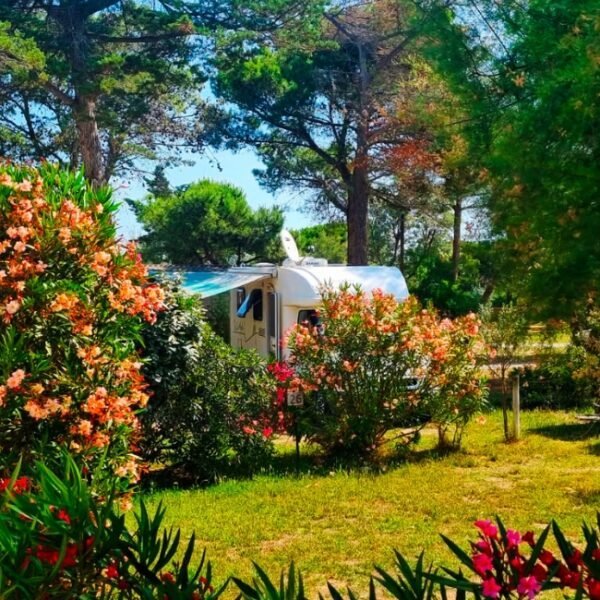 Caravan dans la nature au Camping Cap du Roc à Port la nouvelle dans l'Aude