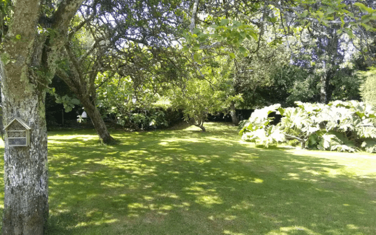 Gîte Cotentin Terre et Mer – photo 10