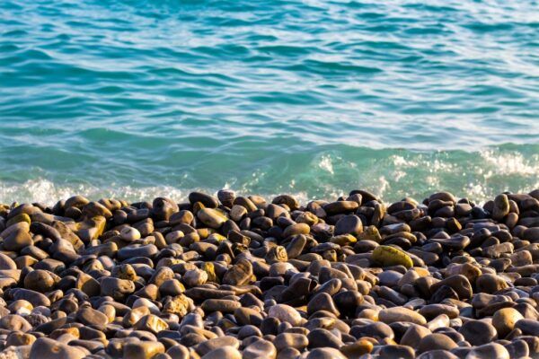 Cani-plage – Menton