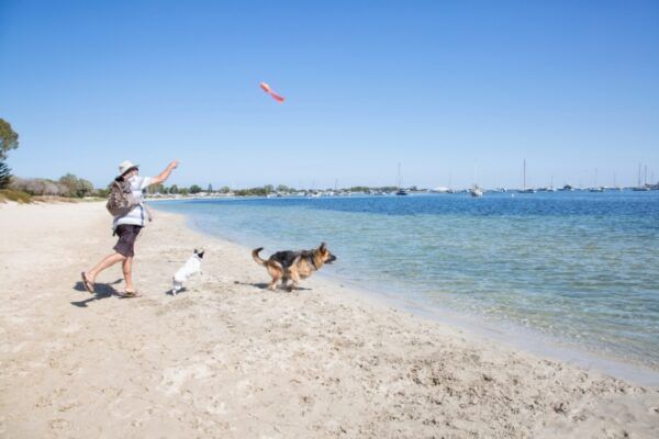 Plage de la Govelle