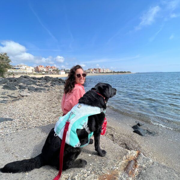 La veste fraicheur pour chien de chez Ruffwear est idéale pour protéger votre animal des grandes chaleurs !