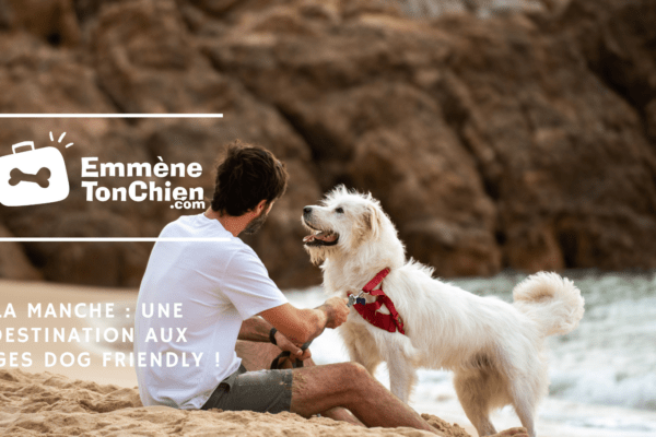 guide de voyage, la Manche, chiens, destination dog friendly, plages, Normandie