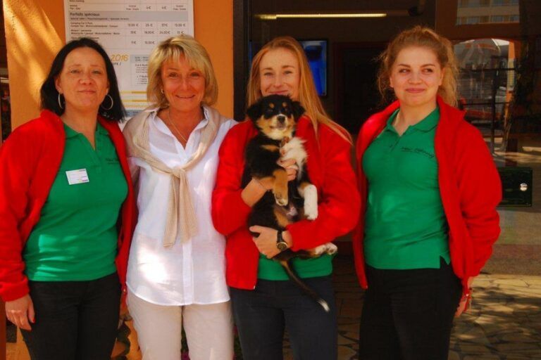 chien au camping le mar estang