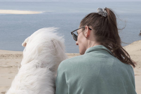 Visiter le Bassin d’Arcachon avec son chien