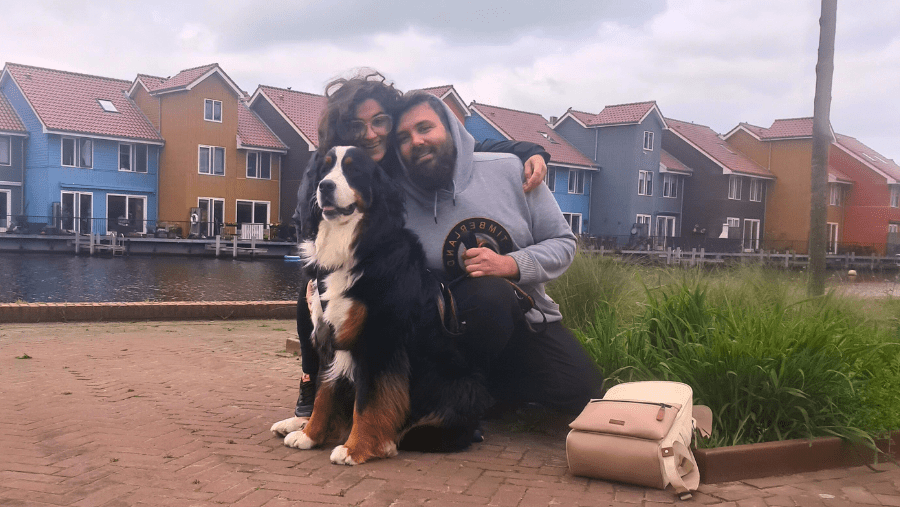 Visiter les Pays-Bas et Amsterdam avec son chien