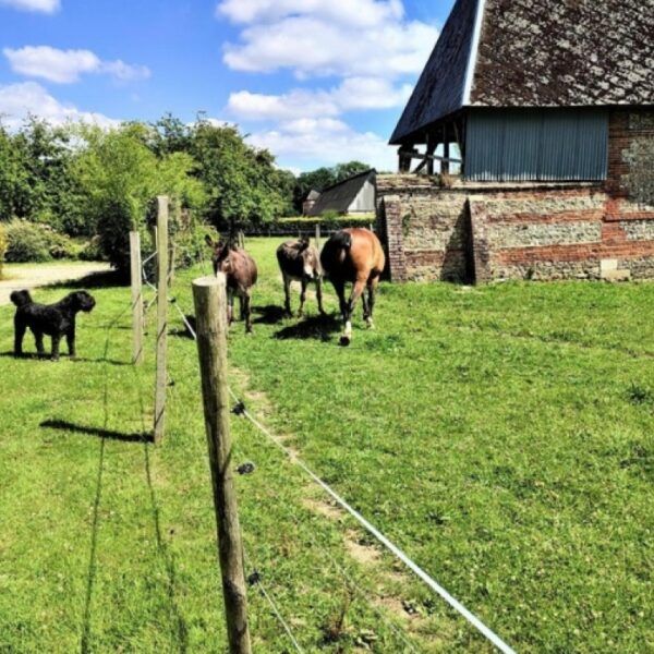 Gîte Autour du Puits