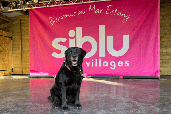 voyagez à travers toute la france avec votre chien de camping siblu en camping siblu