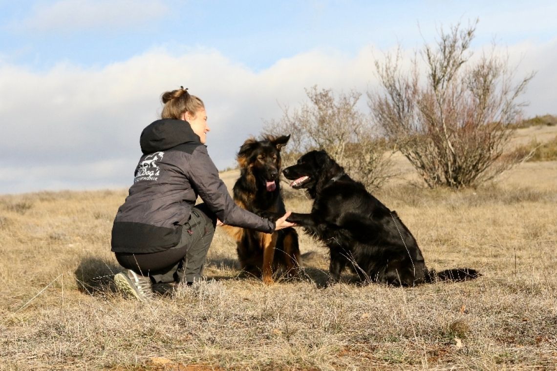 Didog’s & Compagnie