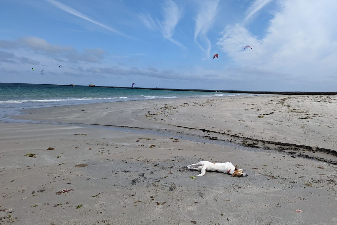 Plage de Collignon