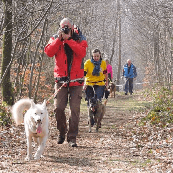 will-_to_-go-_park_-_parcours-_avec-chien_conde-en-normandie_calvados_normandie_sport_activite_chiens_acceptes_emmenetonchien.1