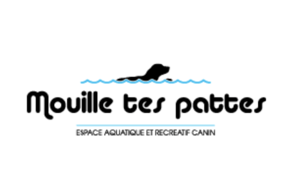 Piscine pour chiens