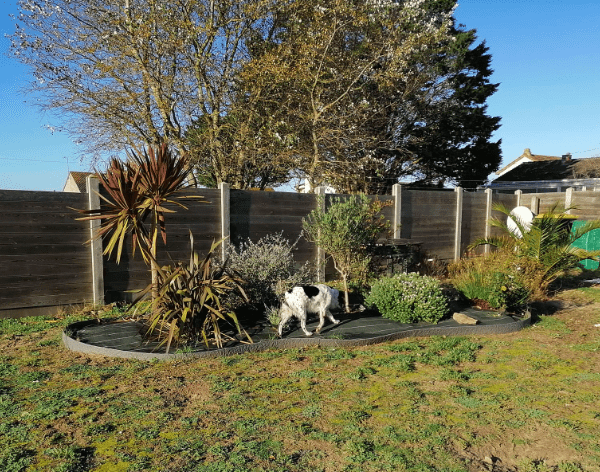 Gîtes Vacances de Chiens