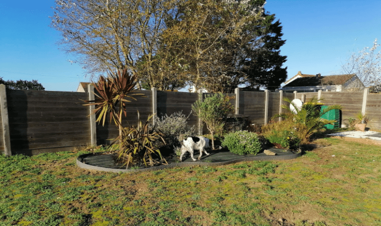 Gîtes Vacances de Chiens – photo 5