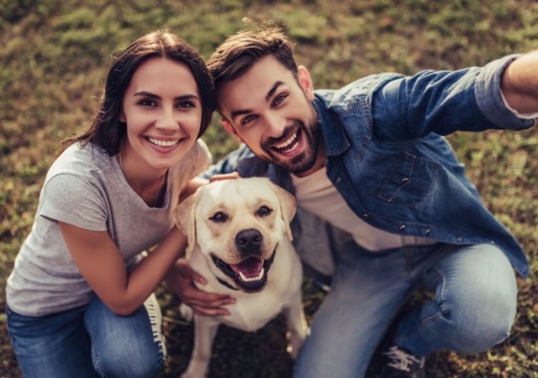 10 tips om met een gerust hart op vakantie te gaan met je hond