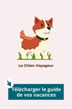 Bon plan vacances chien - télécharger guide de vacances pour des vacances faciles