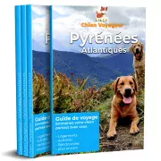 guide de voyage avec un chien, Pyrénées Atlantiques avec un chien, le chien Voyageur, boutique emmenetonchien.com