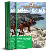 guide de voyage avec un chien, Bretagne avec un chien, le chien Voyageur, boutique emmenetonchien.com