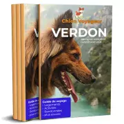 guide de voyage dans le Verdon avec un chien, le chien Voyageur, boutique emmenetonchien.com
