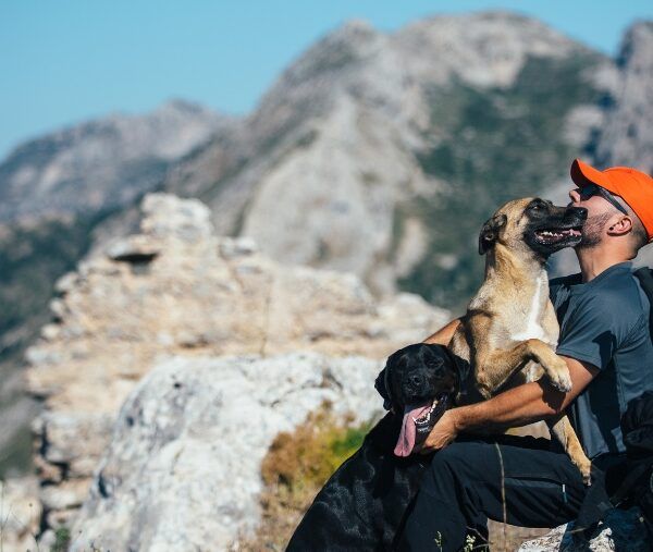 faire un voyage en itinérance avec son chien, voyager avec son chien, voyage itinérance avec chien, conseils pour voyager avec son chien en itinérance, destination vacances avec un chien, blog, emmenetonchien.com