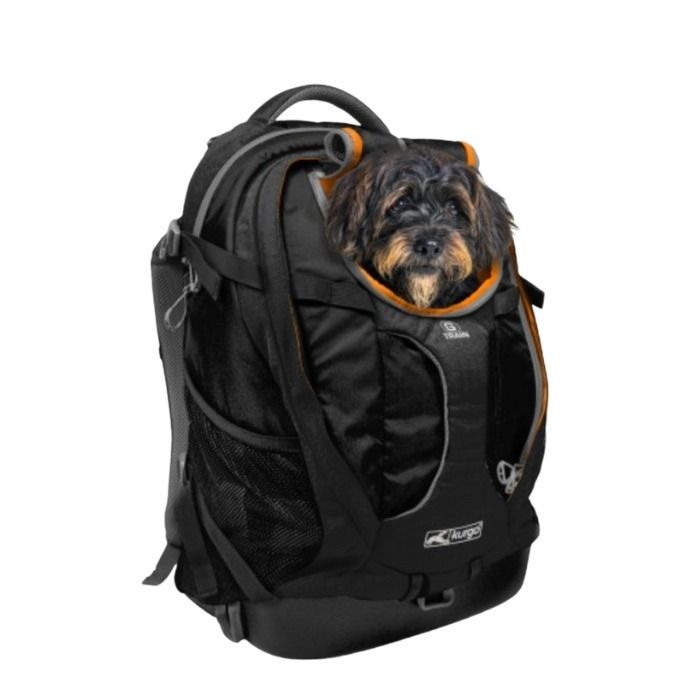 transports et voyages du chien, transporter son chien dans un sac à dos, sac à dos pour chien, sac à dos G Train K9 Kurgo, jusqu'à 11kg, boutique emmenetonchien.com