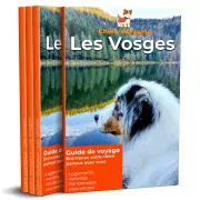 guide de voyage avec un chien, Vosges avec un chien, le chien Voyageur, boutique emmenetonchien.com