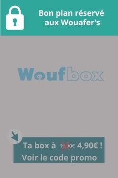 bon plan chiens, box pour chien, abonnement box pour chiens, box personnalisée pour chien, box de jouets pour chien surprises pour chien, Woufbox, Wouf box, bon plan Woufbox, réduction woufbox, réservé aux Wouafer's, bons plans emmenetonchien.com