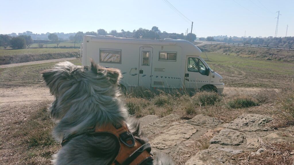 Aller en Espagne avec son chien, que faire en Espagne avec son chien, Madrid avec son chien, Malaga avec son chien, aller en Andorre avec son chien, l'Espagne en hors saison avec son chien, Faire un road trip en camping car avec son chien en Espagne, Sophie et Ottary dog'reporters, blog, emmenetonchien.com